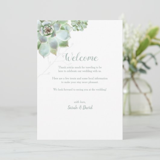 キュートな多肉食の庭園の結婚式日程 プログラム (スタンド正面)