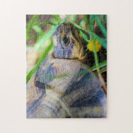 キュートな天使ガメ南アフリカ詳細 ジグソーパズル