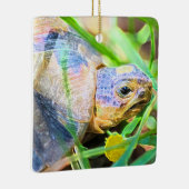 キュートな天使ガメ南アフリカ詳細 セラミックオーナメント (右)