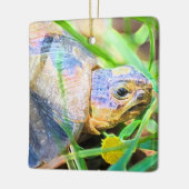 キュートな天使ガメ南アフリカ詳細 セラミックオーナメント (左)