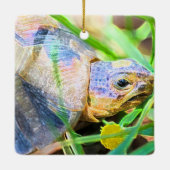 キュートな天使ガメ南アフリカ詳細 セラミックオーナメント (裏面)
