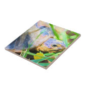 キュートな天使ガメ南アフリカ詳細 タイル (側面)