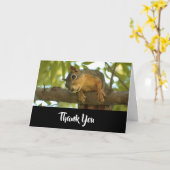 キュートな奇妙なリス自然写真ありがとう カード (黄色い花)