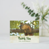 キュートな奇妙なリス自然写真 ポストカード (スタンド正面)