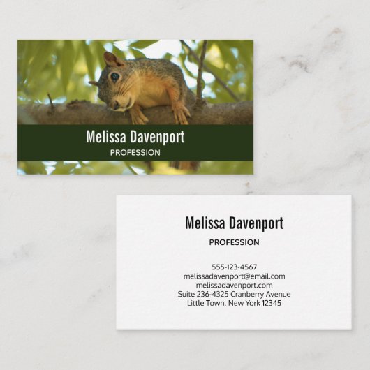 キュートな奇妙なリス自然写真 名刺 (正面/裏面)