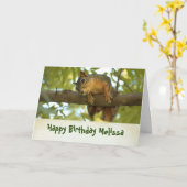 キュートな奇妙なリス自然撮影誕生日 カード (黄色い花)