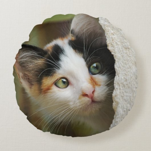 キュートな好奇心の子猫詮索目スムーズ ラウンドクッション (正面)