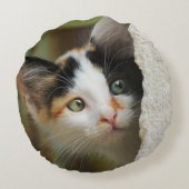 キュートな好奇心の子猫詮索目スムーズ ラウンドクッション (裏面)