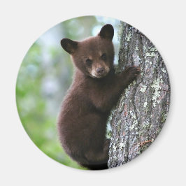 キュートな子グマの丸型冷蔵庫マグネット マグネット