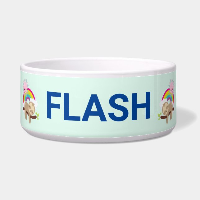 キュートな怠け者のスロスと太陽&レインボー ボウル (正面)