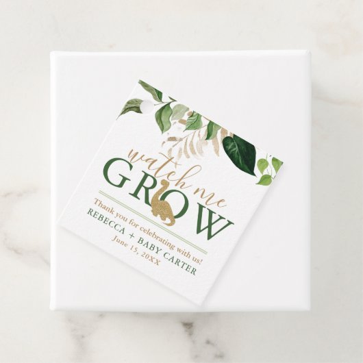 キュートな恐竜が多肉植物を育てる フェイバータグ (インサイチュ)