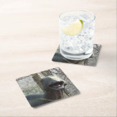 キュートな恐竜のコースター スクエアペーパーコースター (インサイチュ)