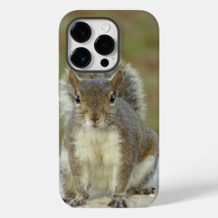 キュートな東の灰色のリスのクローズアップ Case-Mate iPhone 14 PROケース