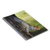 キュートな東灰色リスの自然写真 ノートブック (右側)