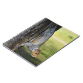 キュートな東灰色リスの自然写真 ノートブック (左側)