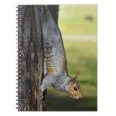 キュートな東灰色リスの自然写真 ノートブック (正面)