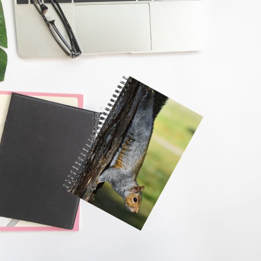 キュートな東灰色リスの自然写真 ノートブック