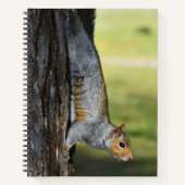 キュートな東灰色リスの自然写真 ノートブック (正面)