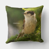 キュートな灰色のジェイWhiskeyjack Songbird針葉樹 クッション (裏面)