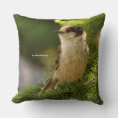 キュートな灰色のジェイWhiskeyjack Songbird針葉樹 クッション (正面)