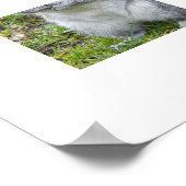 キュートな灰色リス自然 ポスター (角)