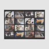 キュートな猫と子猫の写真テンプレートオンブラック 薄葉紙 (正面)