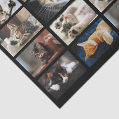 キュートな猫と子猫の写真テンプレートオンブラック 薄葉紙 (詳細)