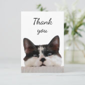 キュートな猫ネコがチラチラ見てくれてありがとう サンキューカード (スタンド正面)