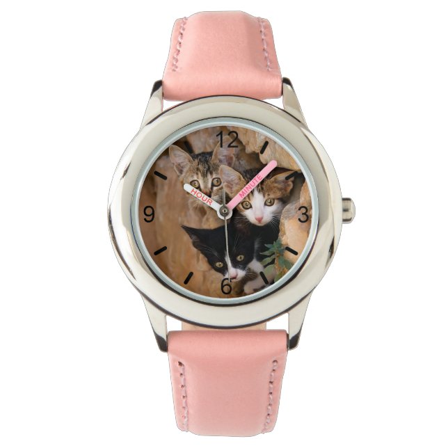 キュートな猫猫3匹おもしろい、ダイヤルプレート 腕時計 (正面)