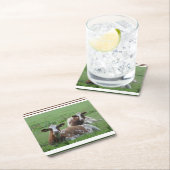 キュートな白褐色の牛のコースター2頭 スクエアペーパーコースター (インサイチュ)