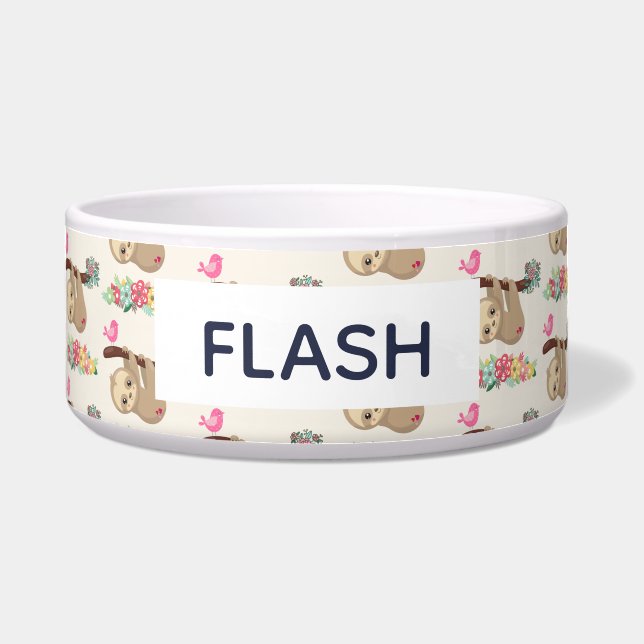 キュートな茶色のぶら下がったナマケモノの上下反転 ボウル (正面)