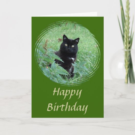 キュートな黒猫の好奇心に満ちた誕生日 カード (正面)