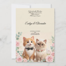 キュートな3D 猫の花嫁と新郎のクリーム色の結婚式