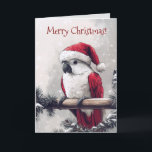 キュートなCockato Santaクリスマスカード カード<br><div class="desc">サンタハットを着た可愛いコッカトゥーが登場したクリスマスカード。フロントカスタマイズの挨拶とカード内のメッセージの両方を好みに合わせて使用できる。</div>