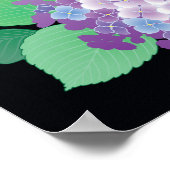 キュートアジサイ日本のフローラファインアート ポスター (角)