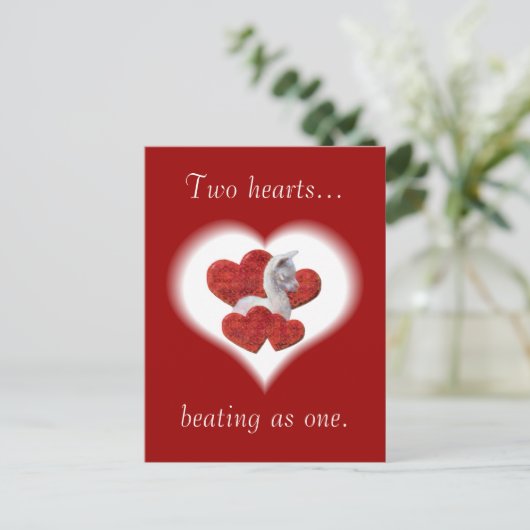 キュートアルパカベビーバレンティンズデイポストカード シーズンポストカード (スタンド正面)