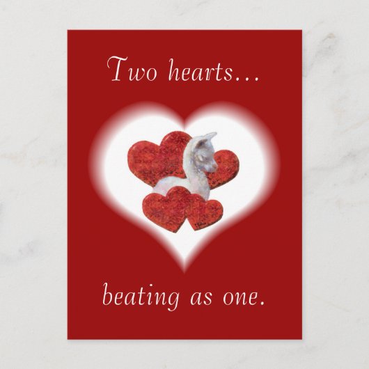 キュートアルパカベビーバレンティンズデイポストカード シーズンポストカード (正面)