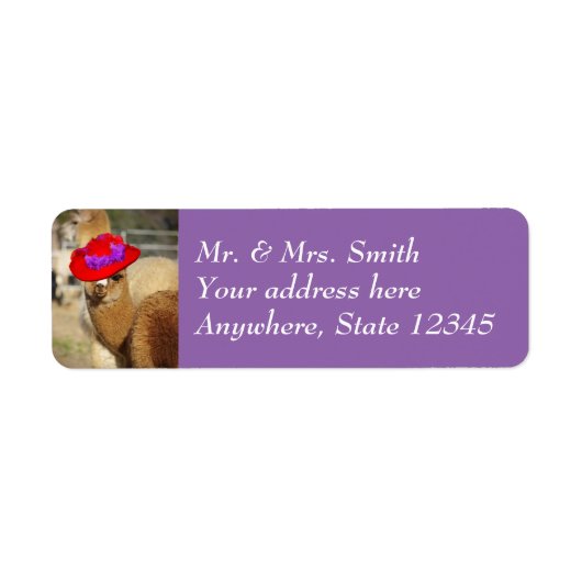 キュートアルパカ差出人住所ラベル ラベル (正面)