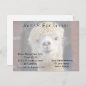 キュートアルパカ顔 インビテーションポストカード (正面/裏面)