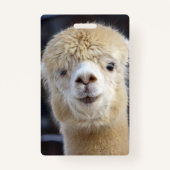 キュートアルパカ顔 バッジ (裏面)