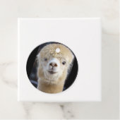 キュートアルパカ顔 フェイバータグ (インサイチュ)