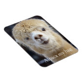 キュートアルパカ顔 マグネット (右側)