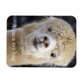 キュートアルパカ顔 マグネット (横)