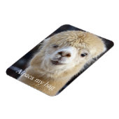 キュートアルパカ顔 マグネット (左側)