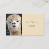 キュートアルパカ顔 名刺 (裏面)