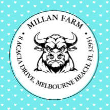 キュートアンガスブルテーマ