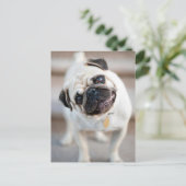 キュートインクイシストプグデザイン ポストカード (スタンド正面)