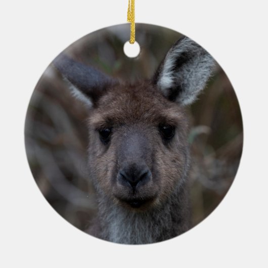 キュートウエスタングレーカンガルー顔オーストラリア動物 セラミックオーナメント (裏面)