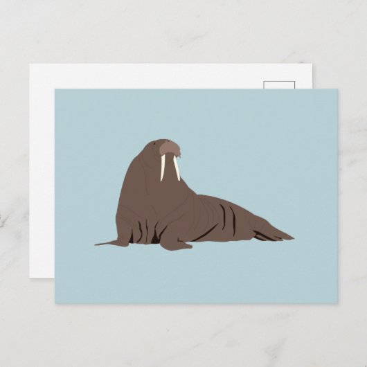 キュートウォレスイラストレーション シーズンポストカード (正面/裏面)