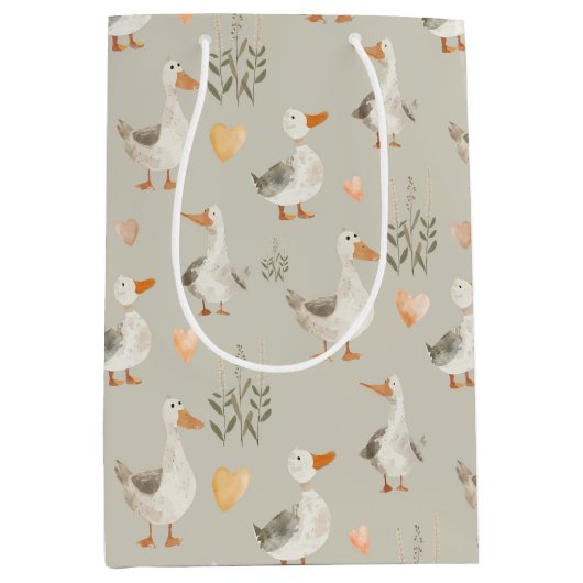 キュートウォーター色ゲーゼミディアム抱き枕 ミディアムペーパーバッグ (正面)